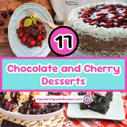Assorted chocolate cherry desserts including cake, cookies, and dump cakes with cherries and chocola.
